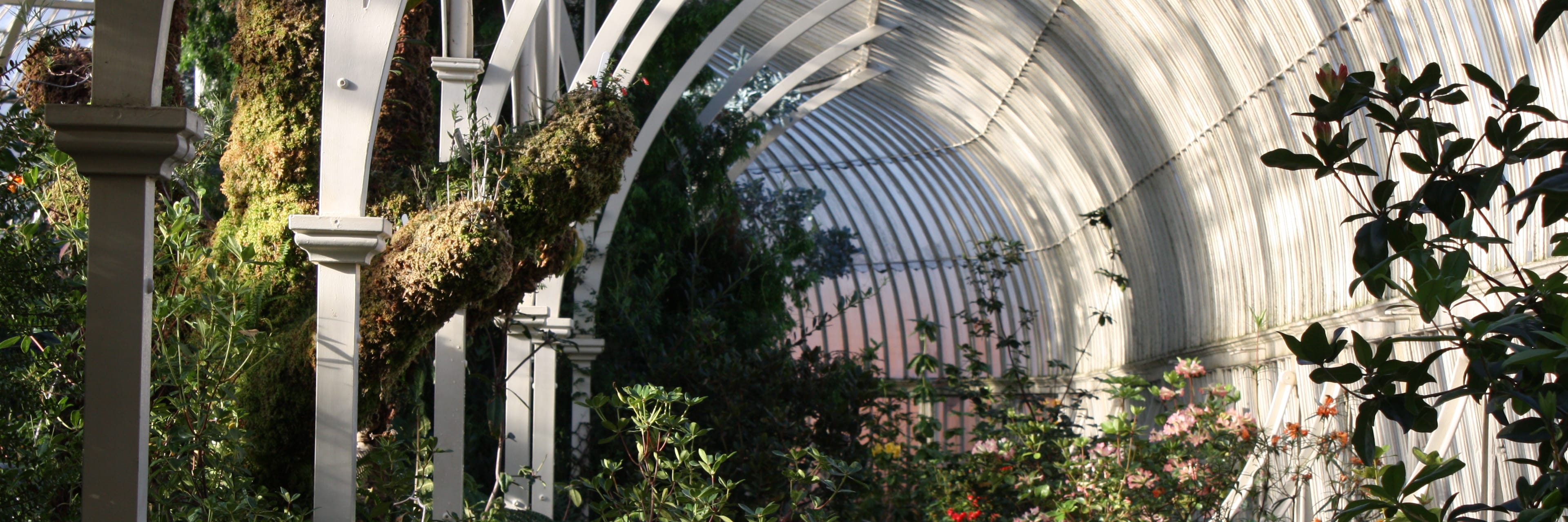 National Botanic Gardens Discount Tickets Go City®
